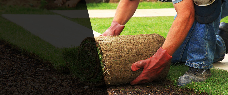Uniondale Landscapers